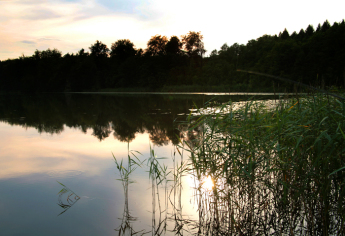 I_8_Abendstimmung_LB