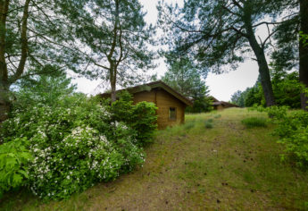 Ferienhaus-Park Brennickenswerder bei Lychen.